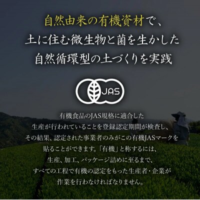 【3ヵ月毎定期便】オーガニック茶500g (100g5袋) 一番茶 岡部茶全3回