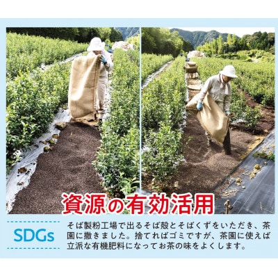 【3ヵ月毎定期便】オーガニック茶500g (100g5袋) 一番茶 岡部茶全3回