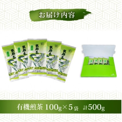 【3ヵ月毎定期便】オーガニック茶500g (100g5袋) 一番茶 岡部茶全3回