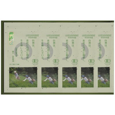 【オーガニック】煎茶A30本セット(有機JAS)