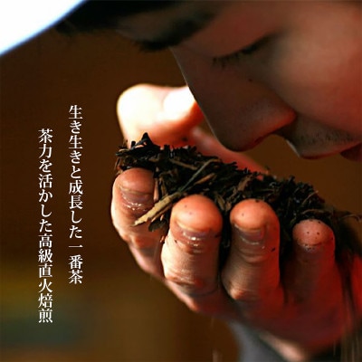 【オーガニック】煎茶A30本セット(有機JAS)