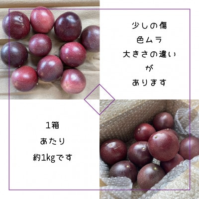 パッションフルーツ　約1kg