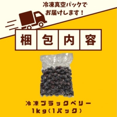 藤枝ブラックベリー　1kg×1パック
