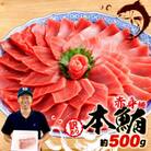 【訳あり】本鮪 赤身　500g