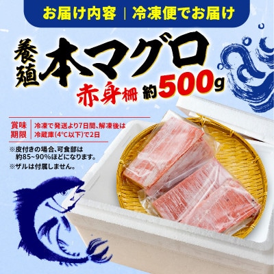 【訳あり】本鮪 赤身　500g