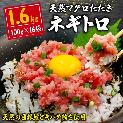 ねぎとろ1.6kg(100g×16袋)