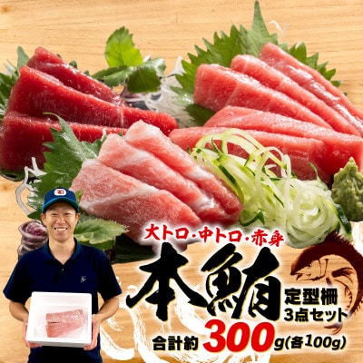 本鮪大とろ、中とろ、赤身セット　各100g