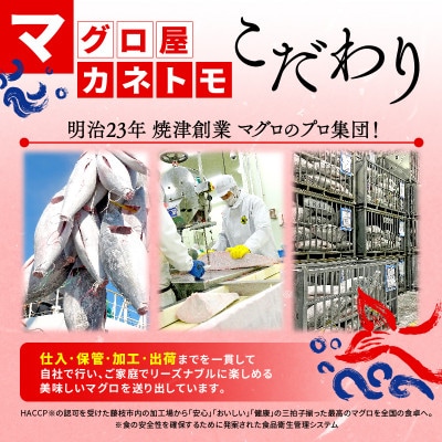 本鮪大とろ、中とろ、赤身セット　各100g