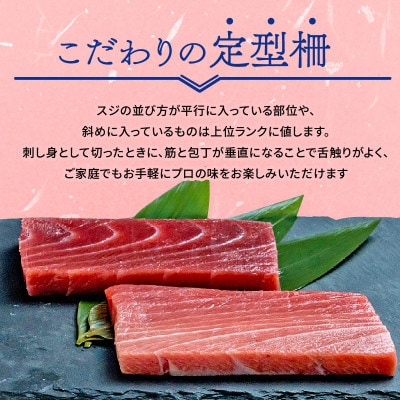 本鮪大とろ、中とろ、赤身セット　各100g