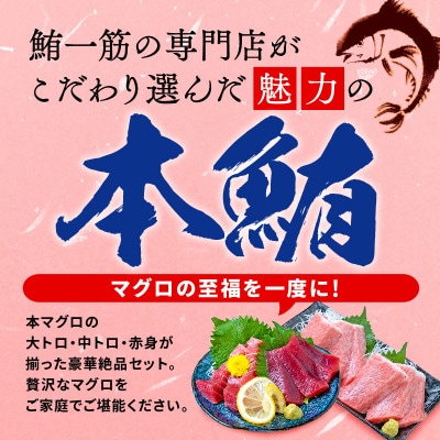 本鮪大とろ、中とろ、赤身セット　各100g