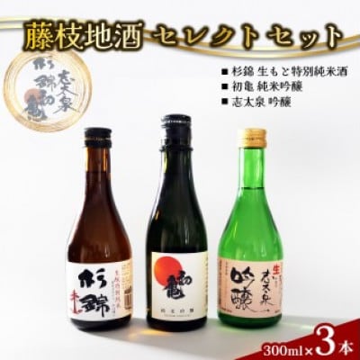 藤枝地酒セレクトセット(杉錦・初亀・志太泉)