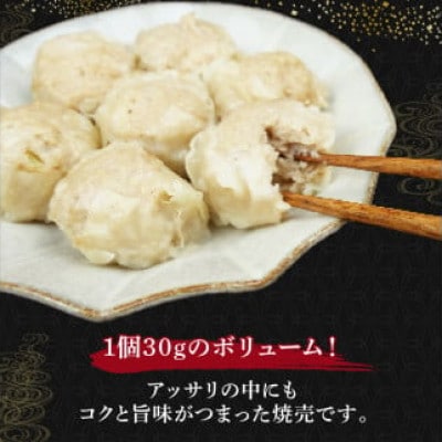 善食のふるさと焼売4パック60個セット!