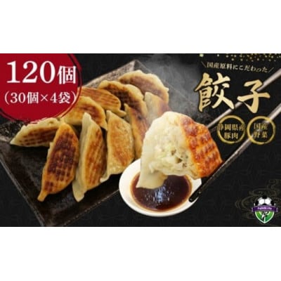 国産原料餃子 120個セット
