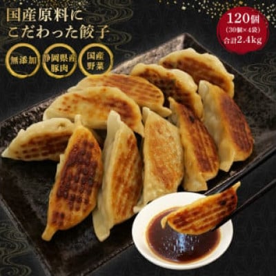 国産原料餃子 120個セット