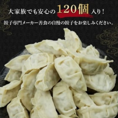 国産原料餃子 120個セット