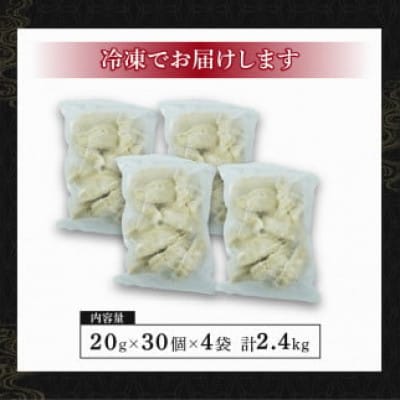 国産原料餃子 120個セット