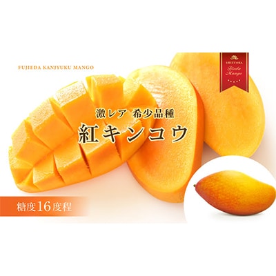 【2026年6月頃～順次発送】完熟マンゴー お任せ2kg以上 糖度16程度 数量限定 静岡県藤枝市産