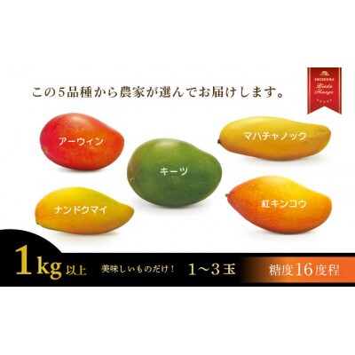 【2027年7月頃～順次発送】完熟マンゴー お任せ1kg以上 糖度16程度 数量限定 静岡県藤枝市産