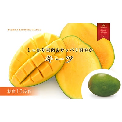 【2026年7月頃～順次発送】完熟マンゴー お任せ1kg以上 糖度16程度 数量限定 静岡県藤枝市産