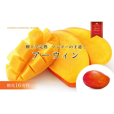 【2026年7月頃～順次発送】完熟マンゴー お任せ2kg以上 糖度16程度 数量限定 静岡県藤枝市産