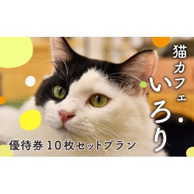 猫カフェいろり　ご利用優待券(1時間分)×10枚セット