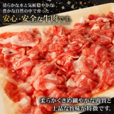 A4～A5ランク静岡県産黒毛和牛切り落とし640g