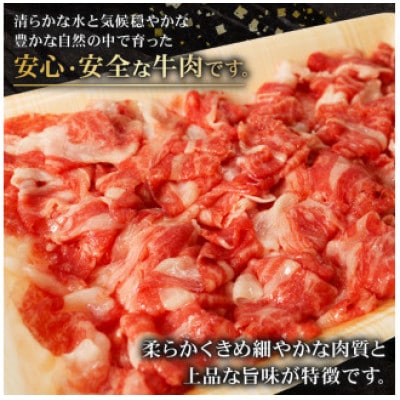 A4～A5ランク静岡県産黒毛和牛切り落とし 約1.2kg