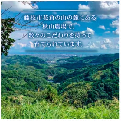 A4～A5ランク静岡県産黒毛和牛ロースステーキ 720g
