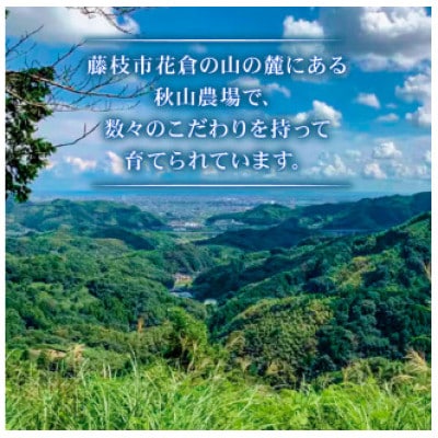 A4～A5ランク静岡県産黒毛和牛ロースステーキ 約1kg