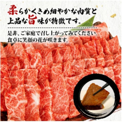 A4～A5ランク 静岡県産黒毛和牛カルビ 焼肉 560g×2