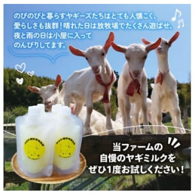 ペット用ヤギミルク 100ml×7本