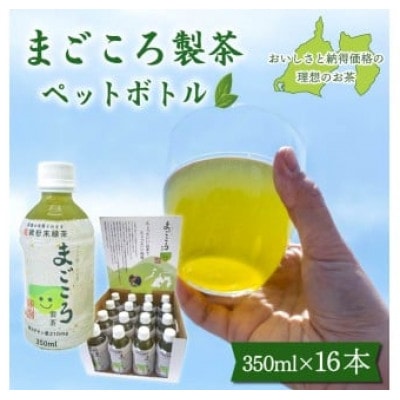 まごころ製茶　ペットボトル　350ml×16本セット