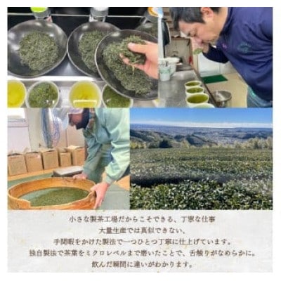 まごころ製茶　ペットボトル　350ml×16本セット