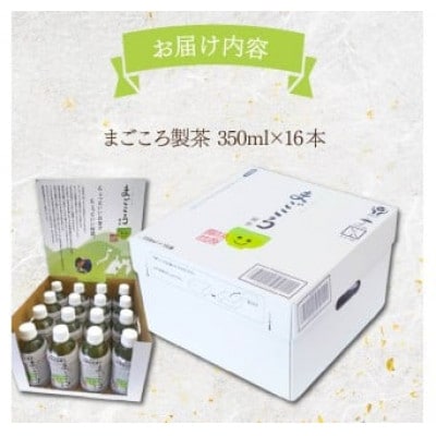 まごころ製茶　ペットボトル　350ml×16本セット
