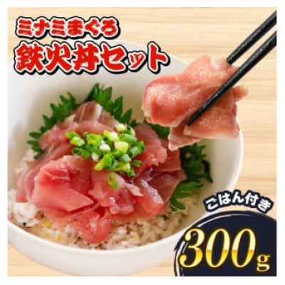 ミナミマグロ 鉄火丼 セット