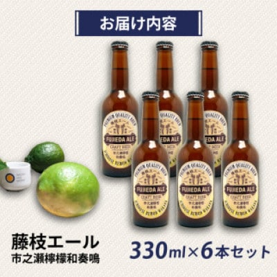 藤枝エール 市之瀬檸檬和奏鳴 330ml×6本セット