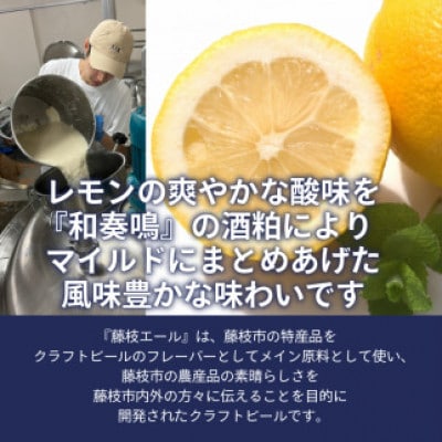 藤枝エール 市之瀬檸檬和奏鳴 330ml×3本セット