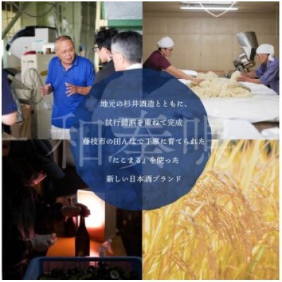 日本酒 和奏鳴【生もと酒母】500ml