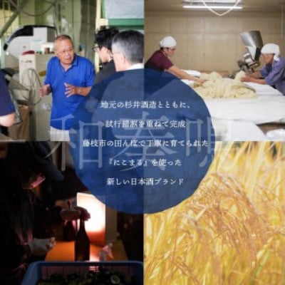 日本酒 リキュール 和奏鳴【柚子】500ml