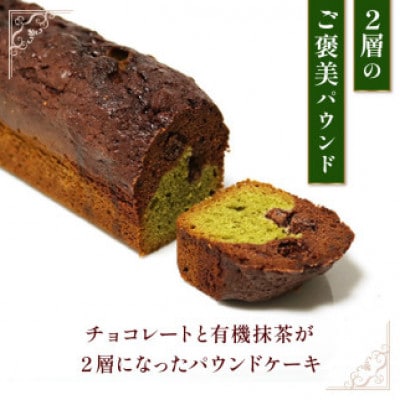 焼き菓子 ケーク ショコラ抹茶 1本