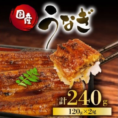 うなぎ 国産 蒲焼 120g×2パック 計240g