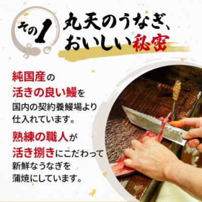 うなぎ 国産 蒲焼 120g×2パック 計240g