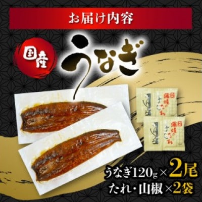 うなぎ 国産 蒲焼 120g×2パック 計240g