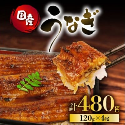 うなぎ 国産 蒲焼 120g×4パック 計480g