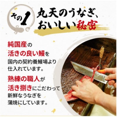 うなぎ 国産 蒲焼 120g×4パック 計480g