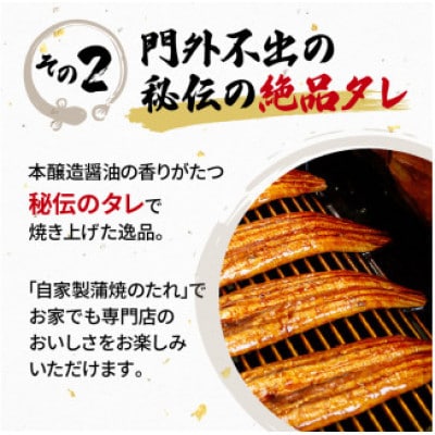 うなぎ 国産 蒲焼 120g×4パック 計480g