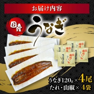 うなぎ 国産 蒲焼 120g×4パック 計480g