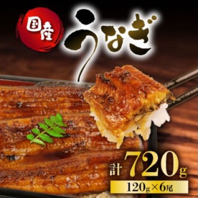 うなぎ 国産 蒲焼 120g×6パック 計720g
