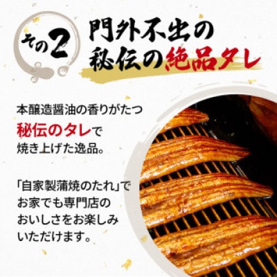 うなぎ 国産 蒲焼 120g×6パック 計720g