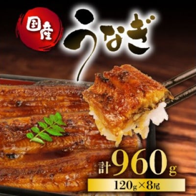うなぎ 国産 蒲焼 120g×8パック 計960g